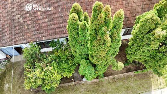 prodej_RD Těšov_03