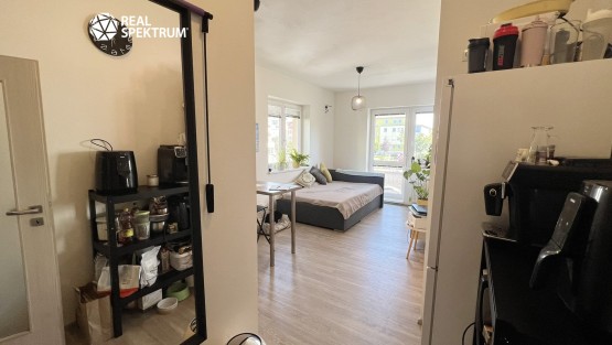 Pronájem bytu 2+kk_04