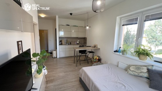 Pronájem bytu 2+kk_09