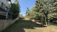 IMG_1133