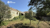 IMG_0981