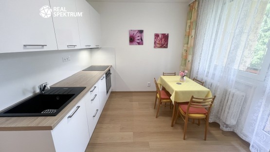 pronajem_byt_2+1_Borodinova_05