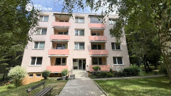 pronajem_byt_2+1_Borodinova_02