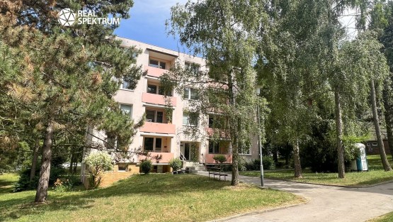 pronajem_byt_2+1_Borodinova_01