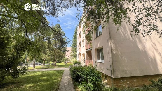 pronajem_byt_2+1_Borodinova_03