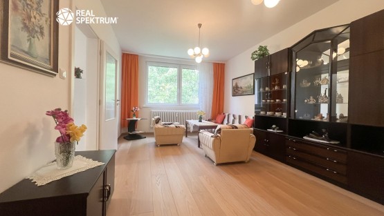 pronajem_byt_2+1_Borodinova_07