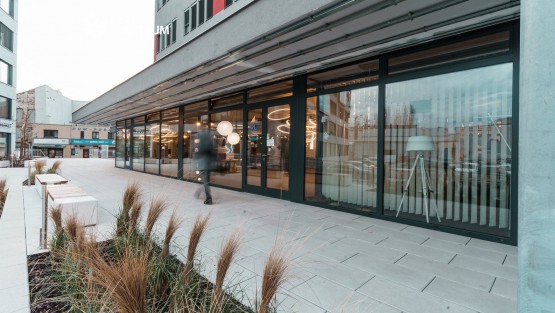 Nosreti - Křenová (2)