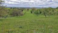 Sivice (2)