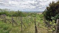 Sivice (7)
