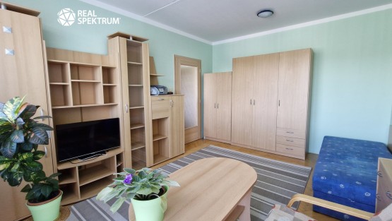 pronájem-bytu-1+1-Černého_01