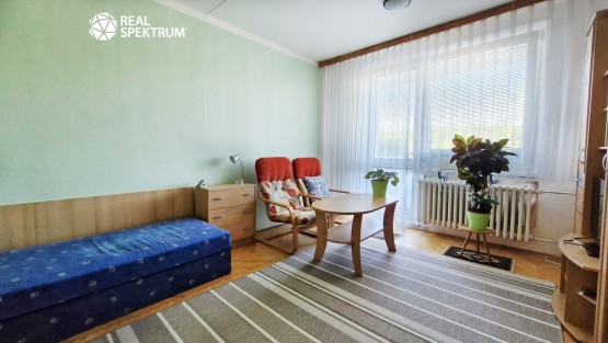 pronájem-bytu-1+1-Černého_07