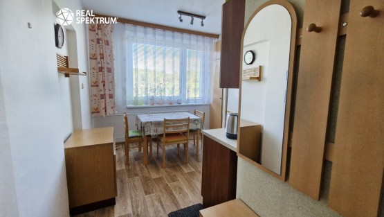 pronájem-bytu-1+1-Černého_06