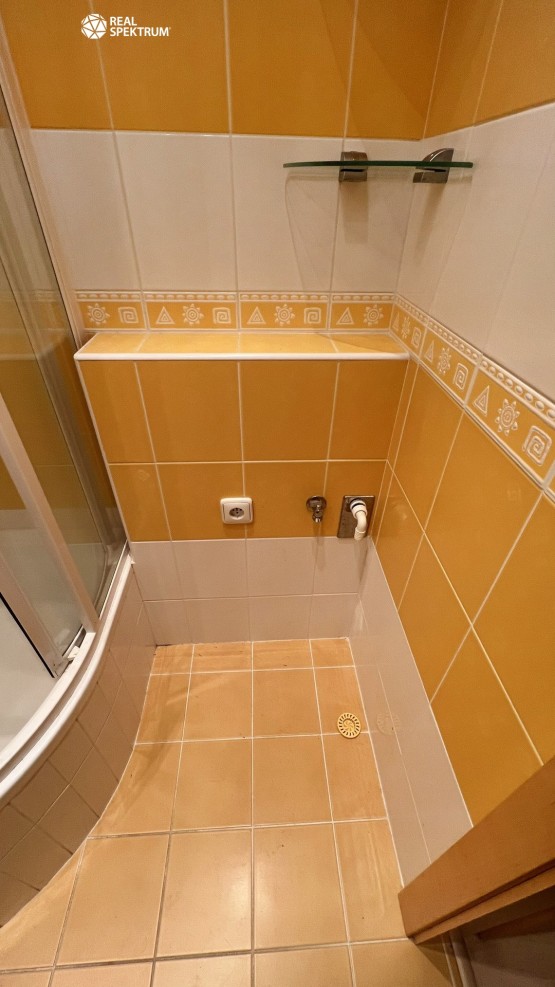 Byt Družstevní (16)