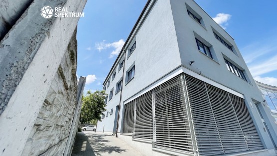 Vídeňská (22)