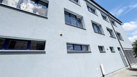 Vídeňská (28)
