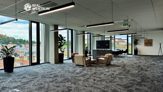 pronájem_ka_Titanium_35