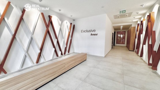 pronájem_ka_Titanium_27