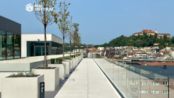 pronájem_ka_Titanium_17