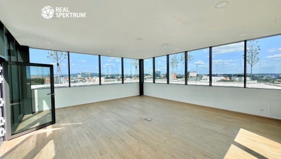 pronájem_ka_Titanium_20