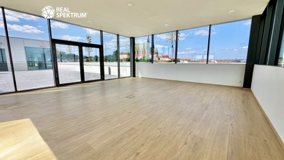 pronájem_ka_Titanium_21