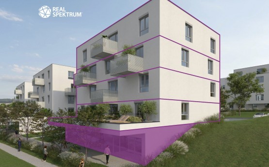 Snímek obrazovky 2026-02-12 163627