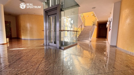 Pronájem KA Štefánikova_19