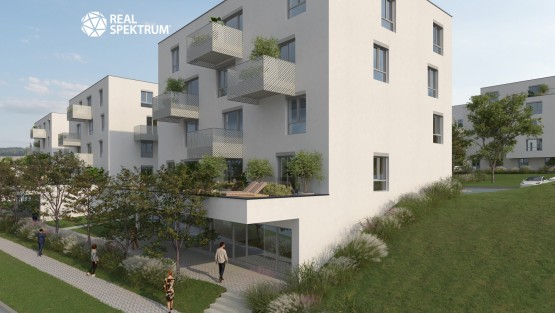 A3_2024_11_18_Embra_Ametyst_0021