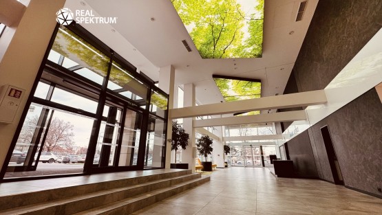 Babák office (34)