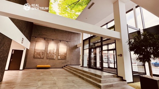 Babák office (36)