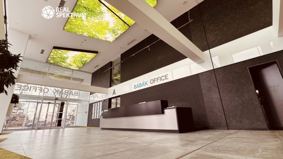 Babák office (35)