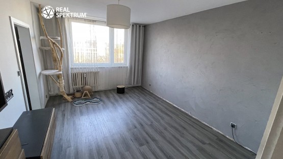 RS I pronájem - byt Komárov (10)