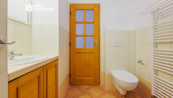 RS I PAVLOV 72, PAVLOV-42