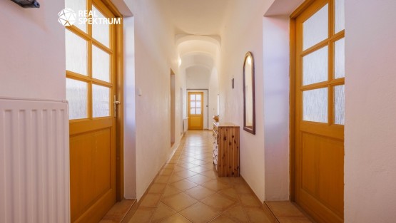 RS I PAVLOV 72, PAVLOV-66