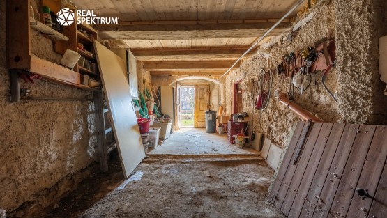 RS I PAVLOV 72, PAVLOV-69