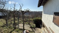 IMG_3160