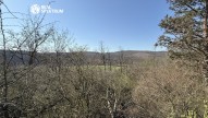 IMG_3177