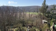 IMG_3151