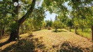 RS I Za Mlynem 714, Tisnov-56