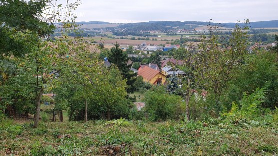 Bosonohy Křivánky_1