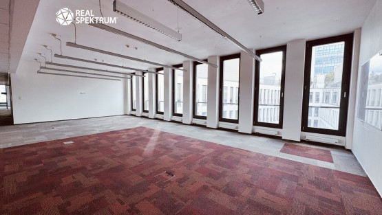 Kanceláře Uniqua Trnitá (12)