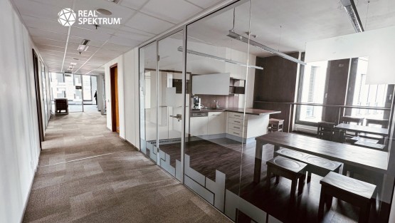 Kanceláře Uniqua Trnitá (9)