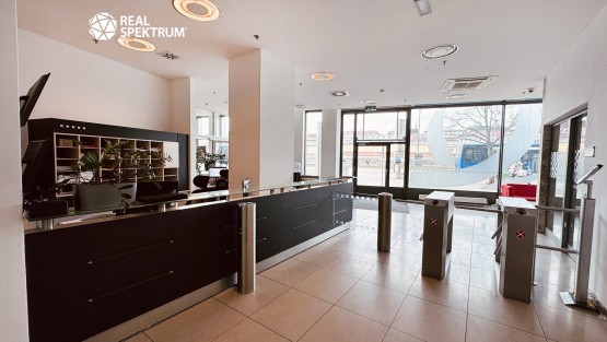 Kanceláře Uniqua Trnitá (48)