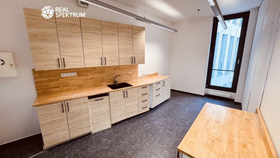 Kanceláře Uniqua Trnitá (27)