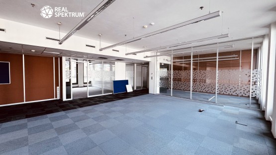 Kanceláře Uniqua Trnitá (47)