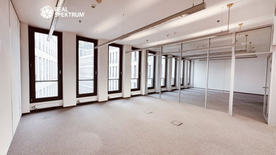 Kanceláře Uniqua Trnitá (28)