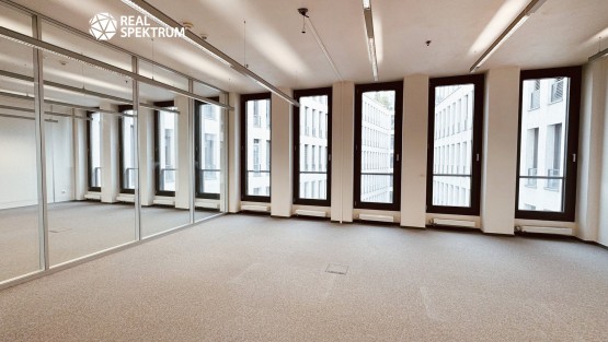 Kanceláře Uniqua Trnitá (34)