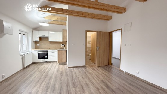 byt_pronajem_palackeho_trida_1kk_04