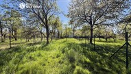 IMG_8760