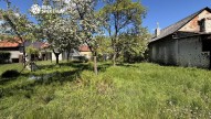 IMG_8765