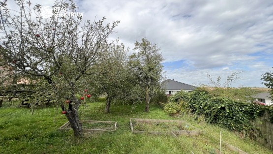 prodej-rodinny-dum-uhercice-24